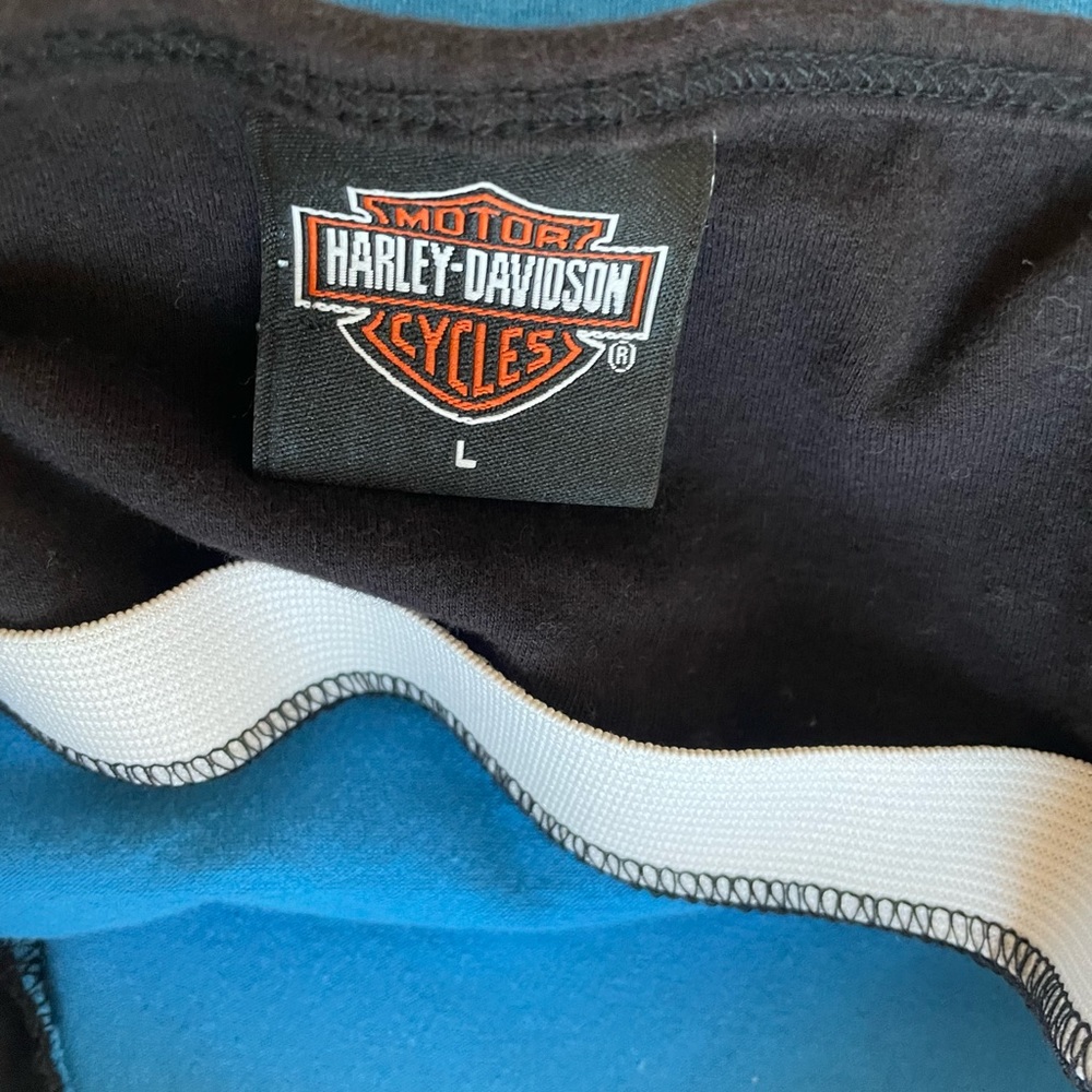 Rare Harley Davidson Uae View 6